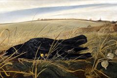 24 Winter Fields - Andrew Wyeth 1942 Whitney Museum Of American Art New York City
